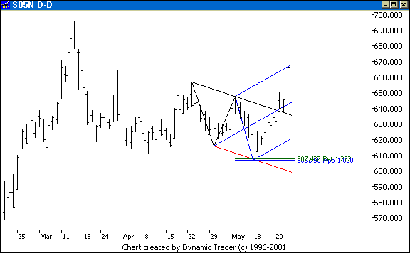 Chart 5