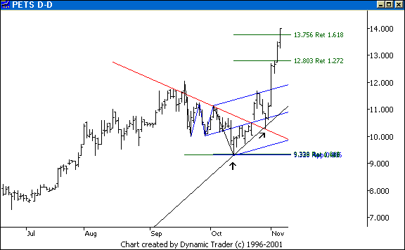 Chart 6