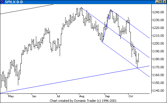 Chart 5